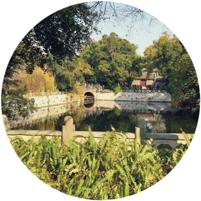 米加迷你小镇新世界下载
