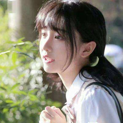会说话的小松鼠下载